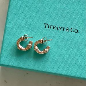 Tiffany & Co. Sterling Silver Nature Bamboo Earrings Hoops Rare. Vintage.